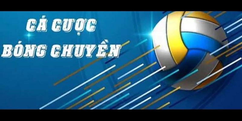 Cá Cược Bóng Chuyền Giải Trí Và Kiếm Tiền Cực Khủng 1 ca cuoc bong chuyen anh dai dien