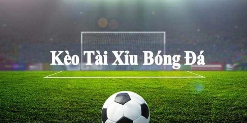Khám Phá Chi Tiết Về Cá Cược Kèo Tài Xỉu Thú Vị Hấp Dẫn 1 ca cuoc keo tai xiu anh dai dien
